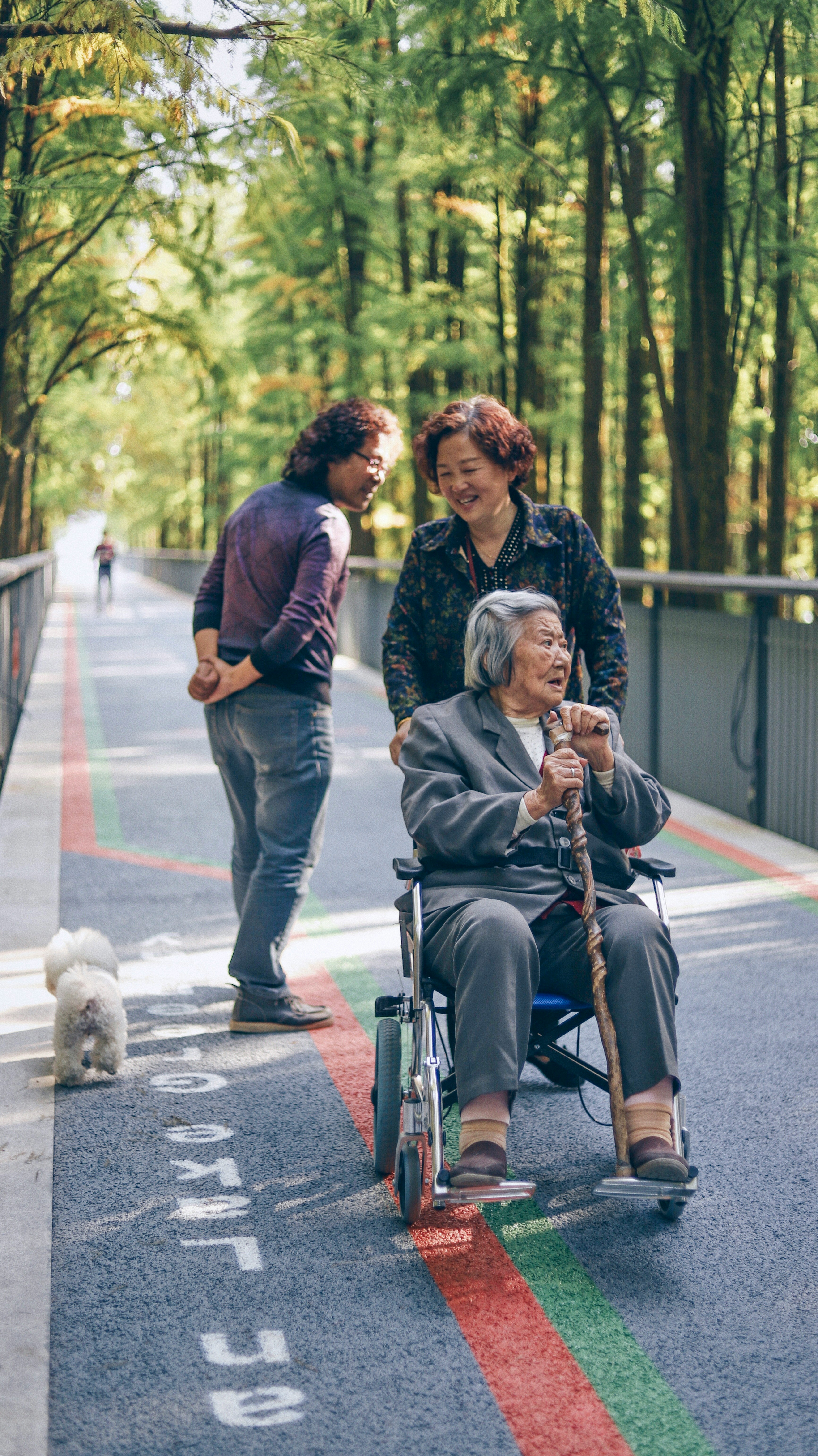 Care Service 3
